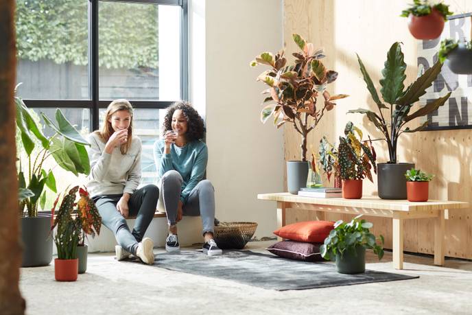 b.for soft round 25cm anthracite